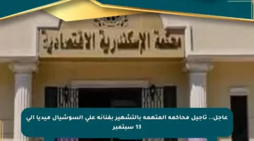 عاجل.. تأجيل محاكمة المتهمة بالتشهير بفنانة على السوشيال ميديا إلى 13 سبتمبر